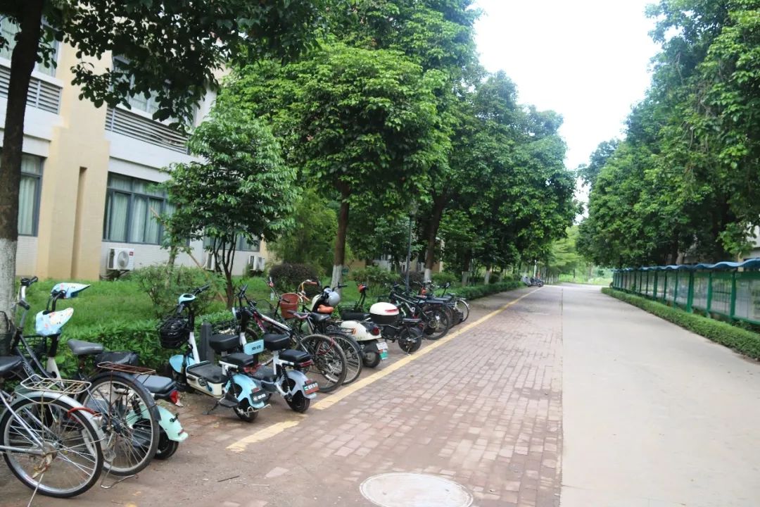 太阳成集团122ccvip