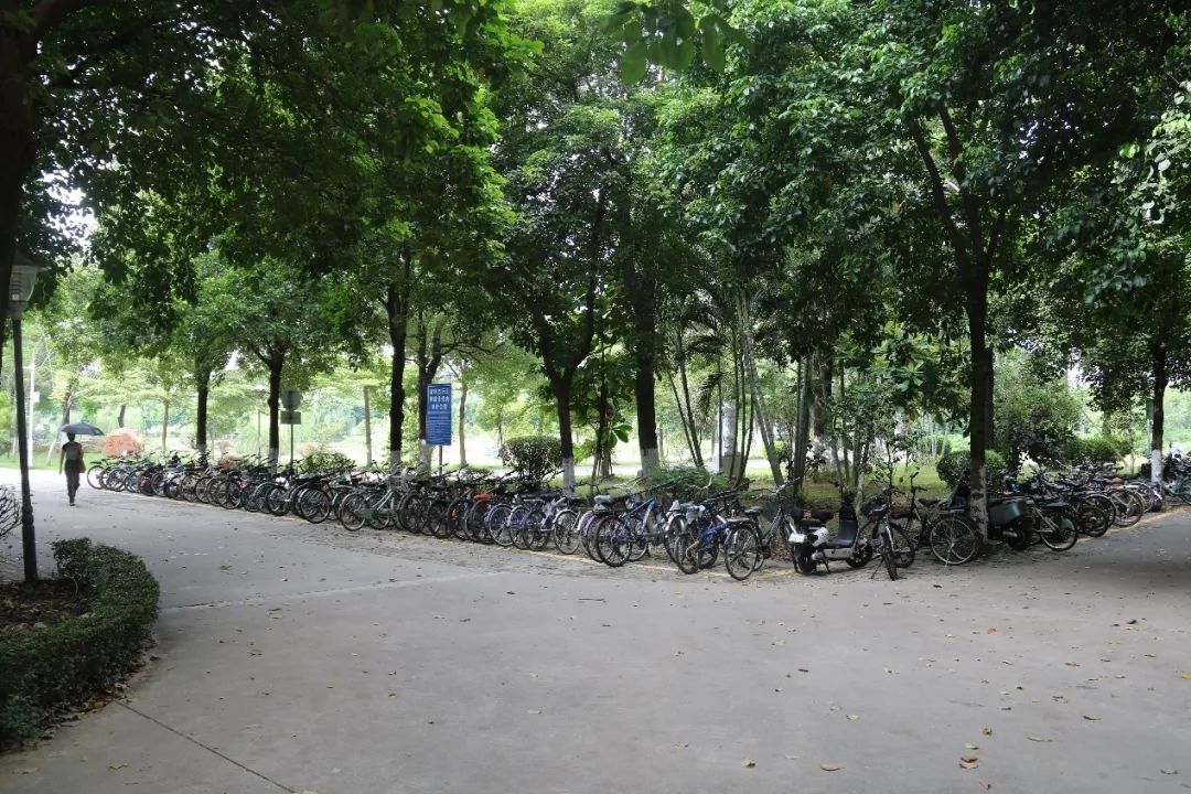 太阳成集团122ccvip