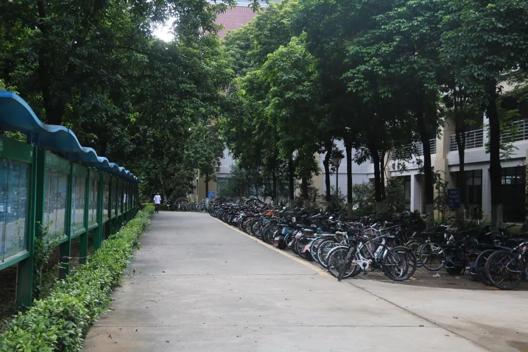 太阳成集团122ccvip